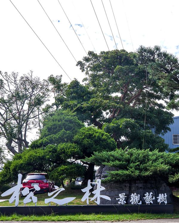 關於松之林